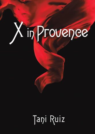 X in Provence book cover